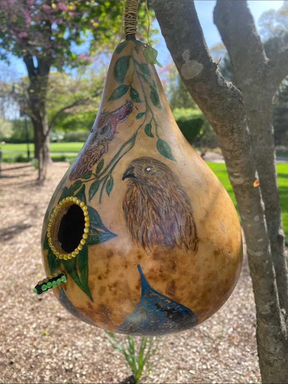 Hand-Painted Brown Gourd decorative Birdhouse with Owl Design